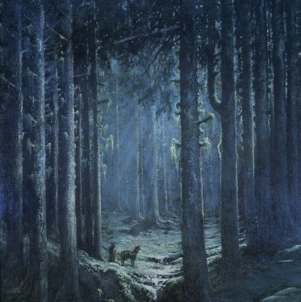 dore-deer-in-a-pine-forest